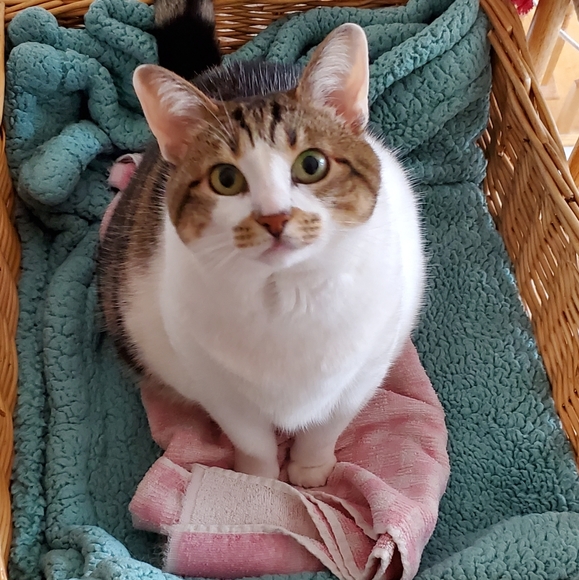 Meet your Posher, Susan - Picture 2 of 4